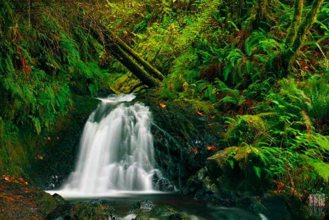 Small Waterfall in Autumn at Colombia River Gorge