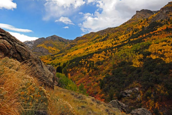 Ruby Mountains in the fall